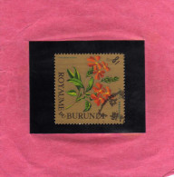 BURUNDI 1966 FLORA FLOWERS CROSSANDRA FLOWER FLEURS FLEUR FIORI FIORE USED OBLITERE - Oblitérés