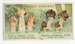 Chromo Didactique  Chocolat D´AIGUEBELLE. Série Champignons. HELVELLES - Aiguebelle