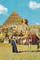 Giza - The Great Sphinx And Khephren Pyramid  Egypt.  # 0732 - Pyramides