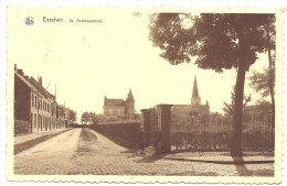 ESSCHEN - St Antoniusstraat - Essen