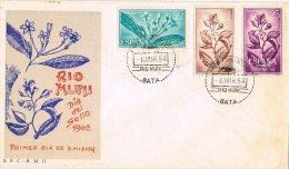 7314. Carta D.D.C. BATA (Rio Muni) 1964. Dia Del Sello. FLORA - Rio Muni