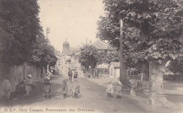 Suisse - Coppet -  Promenade Des Ormeaux - Postal Mark 1908 - Coppet