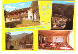 Deutschland - Regenhütte Im Bayerischen Wald - Gasthof Pension Metzgerei Sperl - Regen