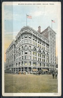 (2865) Wilson Building And Annex - Ca. 1918 - N. Gel. - Nr. 108034  Published By Dallas Post Card Co., Dallas, Texas - Dallas