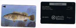 BAHRAIN  - BATELCO (GPT)  - 1996 FISH: GROUPER (HAMOOR)     CODE 40BAHJ     -    USED  -  RIF. 328 - Fische
