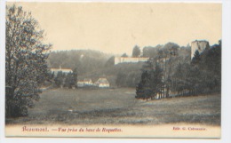 Belgique, Beaumont, Vue Prise Du Banc De Roquettes, Ed. Crèvecoeur, Dos Divisé, A Circulé En 1907, TRÈS BON ÉTAT - Beaumont