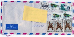 Chypre  Lettre De 1979  Pour La France - Storia Postale