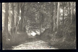 Cpa Du 22  Trévou Tréguignec Route Sous Bois De Trévou à Tréguier   BCH9 - Penvénan