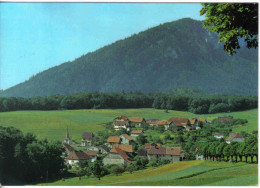 Carte Postale Suisse Rochefort  Trés Beau Plan - Rochefort