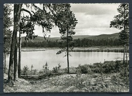 (2938) Ein Frohes Pfingsfest / Landschaft Am See - Gel. 1960 - Nr. 175   J. L. M. - Pentecôte