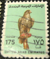United Arab Emirates 1990 Hunting Falcon 175f - Used - Emirats Arabes Unis (Général)