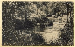 VALLÉE DE L'OUR - 2 Scans  (VINTAGE POSTCARD) - Burg-Reuland