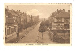 CPA : Belgique : Watermael - Avenue Des Campanules  : Perspective Sur L´avenue Bordée De Maisons - Watermaal-Bosvoorde - Watermael-Boitsfort