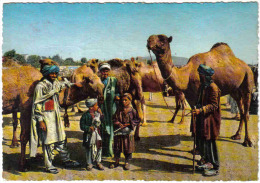 Carte Postale Afghanistan   Kabul  Stockyard  Chameliers Trés Beau Plan - Afghanistan