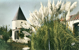 Saint-Pierre-d'Oléron (Ile D'Oléron)  Le Moulin De Coivre  Cpsm Format     Cpa - Saint-Pierre-d'Oleron