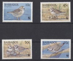 Barbados - 1999 WWF MNH__(TH-12377) - Barbades (1966-...)