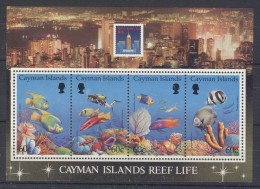Cayman Islands - 1994 Life On The Reef Block MNH__(TH-5770) - Iles Caïmans