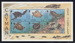 Cayman Islands - 1995 Sea Turtles Block MNH__(FIL-9971) - Iles Caïmans