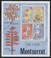 Montserrat - 1985 Orchids Block MNH__(FIL-9980) - Montserrat