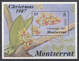 Montserrat - 1987 Christmas Block MNH__(TH-9477) - Montserrat