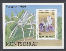 Montserrat - 1989 Easter Block MNH__(TH-11374) - Montserrat