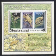 Montserrat - 1991 Frogs And Toads Block MNH__(FIL-9977) - Montserrat