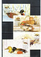 Jugoslawien / Yugoslavia / Yougoslavie 1989 WWF Ente / Ducks Maximumcards - Cartes-maximum