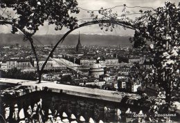 TORINO 1955 - PANORAMA - C714 - Multi-vues, Vues Panoramiques