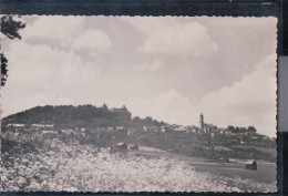 Augustusburg - Blick Aus Der Ferne - Augustusburg