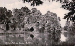 Wörlitz - Wörlitzer Park - Der Stein - Woerlitz