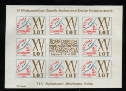 POLAND 1962 15TH GLIDER FLIGHT POST SHEETLET NHM LESZNO II SOCIALIST COUNTRIES INTERNATIONAL GLIDING COMPETITION FLIGHT - Zweefvliegers