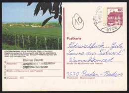 6706 - WACHENHEIM / 1980  GANZSACHE - BILDPOSTKARTE MIT GLEICHEM STEMPEL  (ref E359) - Geïllustreerde Postkaarten - Gebruikt