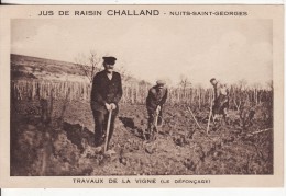 NUITS-SAINT-GEORGES (Côte D´Or) Jus Raisin CHALLAND Travaux Vigne-Vin-Vignoble-Le Défonçade-VOIR 2 SCANS - Nuits Saint Georges