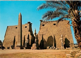 CPSM Temple De Louxor    L1548 - Luxor