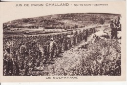 NUITS-SAINT-GEORGES (Côte D´Or) Jus Raisin CHALLAND Vigne-Vin-Vignoble-Le Sulfatage-VOIR 2 SCANS - Nuits Saint Georges