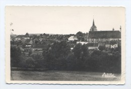 Environs De Saint-Sauveur-en-Puisaye.  Vue Générale De Treigny. - Treigny