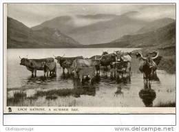 LOCH KATRINE A SUMMER DAY R.TUCK SERIE 5551SCOTTISH LOCHS - East Lothian