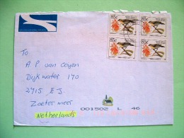 South Africa 1998 Cover To Holland - Birds Serinus - Lettres & Documents