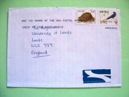 South Africa 1999 Cover To England - Turtle Tortoise Bird Hirundo Swallow - Lettres & Documents