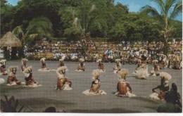 TAHITI  UN TAMOURE - Polynésie Française