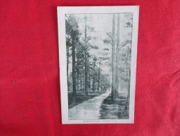 - South Carolina > Camden --Hampton Park Not Mailed Ref 1186 - Camden