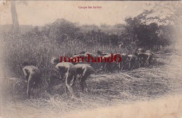 Afrique Guinée Coupe Des Herbes Africains Fesses Nues Classement Pas Certain - Äquatorial-Guinea