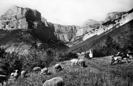 26 DROME ENVIRONS DE CHÂTILLON EN DIOS CIRQUE D'ARCHIANE - Châtillon-en-Diois