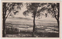 Texel - Uitzicht Op De Roggesloot   (1956) - Holland/Nederland  (2 Scans) - Texel