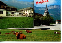 Magland Hameau Gravin Colonie De Vacances Les Ailes Blanches (76 Gonfreville L'orcher) Vaches Alpage Multivues N°663 - Magland