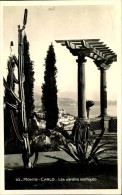 MONTE CARLO LES JARDINS EXOTIQUES - Giardino Esotico