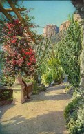 JARDIN EXOTIQUE DE MONACO  EUPHORBES ET CEREUS DIVERS - Exotic Garden