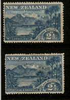 NEW ZEALAND 1898 2½d SG 249a And SG 250 MOUNTED MINT Cat £61 - Unused Stamps
