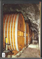 FORMAT 10x15 - DISTRICT D´AIGLE /// YVORNE - CAVE DU DOMAINE DU CLOS DE LA GEORGE - TB - Yvorne