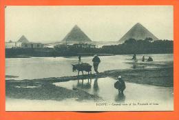 Egypte  "  General View Of The Pyramids Of Giza  " - Pyramiden